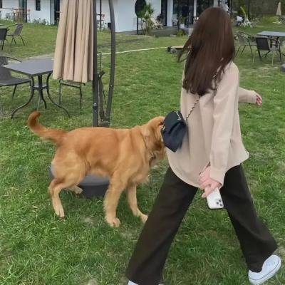 我们存在的理由